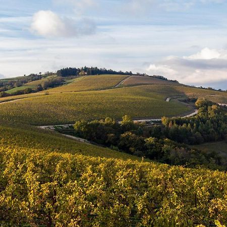 Hotel Ca' Del Moro Wine Retreat Grezzana Zewnętrze zdjęcie