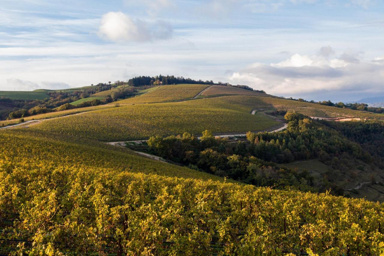 Hotel Ca' Del Moro Wine Retreat Grezzana Zewnętrze zdjęcie